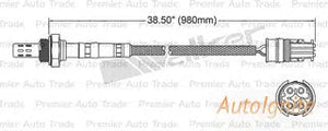 OXYGEN SENSOR | EGO-210-AUTOIGNITE-Autoignite NZ