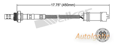 OXYGEN SENSOR | EGO-213-AUTOIGNITE-Autoignite NZ