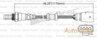 OXYGEN SENSOR | EGO-231-AUTOIGNITE-Autoignite NZ