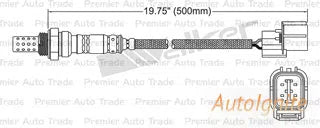 OXYGEN SENSOR | EGO-286-AUTOIGNITE-Autoignite NZ