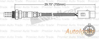 OXYGEN SENSOR | EGO-350-AUTOIGNITE-Autoignite NZ