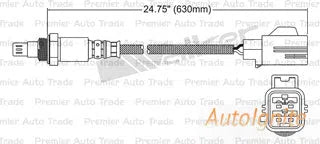 OXYGEN SENSOR | EGO-425-AUTOIGNITE-Autoignite NZ