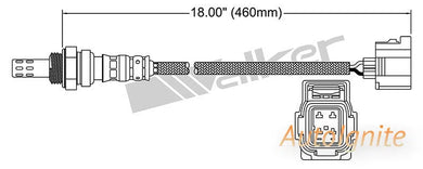 OXYGEN SENSOR | EGO-436-AUTOIGNITE-Autoignite NZ