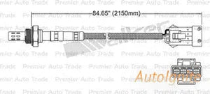 OXYGEN SENSOR | EGO-451-AUTOIGNITE-Autoignite NZ