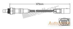 OXYGEN SENSOR | EGO-490
