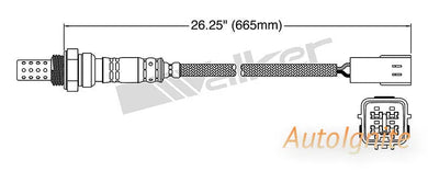 OXYGEN SENSOR | EGO-492-AUTOIGNITE-Autoignite NZ