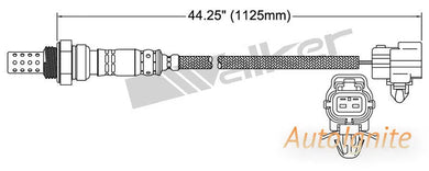 OXYGEN SENSOR | EGO-497-AUTOIGNITE-Autoignite NZ