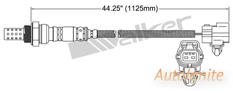 OXYGEN SENSOR | EGO-497-AUTOIGNITE-Autoignite NZ