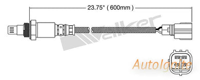 OXYGEN SENSOR | EGO-517-AUTOIGNITE-Autoignite NZ