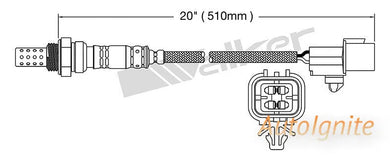 OXYGEN SENSOR | EGO-524-AUTOIGNITE-Autoignite NZ