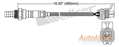 OXYGEN SENSOR | EGO-534-AUTOIGNITE-Autoignite NZ