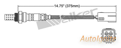 OXYGEN SENSOR | EGO-535-AUTOIGNITE-Autoignite NZ