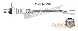 OXYGEN SENSOR | EGO-535-AUTOIGNITE-Autoignite NZ