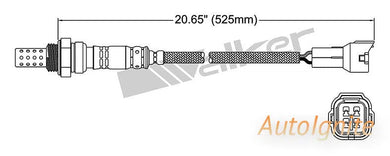 OXYGEN SENSOR | EGO-536-AUTOIGNITE-Autoignite NZ