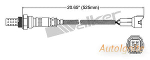 OXYGEN SENSOR | EGO-536-AUTOIGNITE-Autoignite NZ