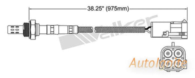OXYGEN SENSOR | EGO-541-AUTOIGNITE-Autoignite NZ