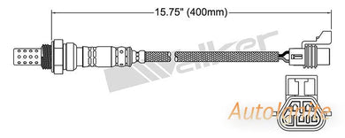OXYGEN SENSOR | EGO-546-AUTOIGNITE-Autoignite NZ
