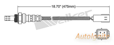 OXYGEN SENSOR | EGO-550-AUTOIGNITE-Autoignite NZ