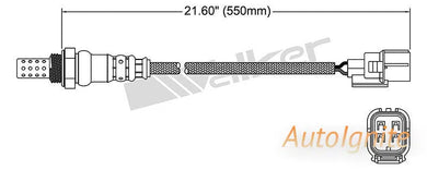 OXYGEN SENSOR | EGO-555-AUTOIGNITE-Autoignite NZ