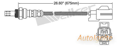 OXYGEN SENSOR | EGO-556-AUTOIGNITE-Autoignite NZ