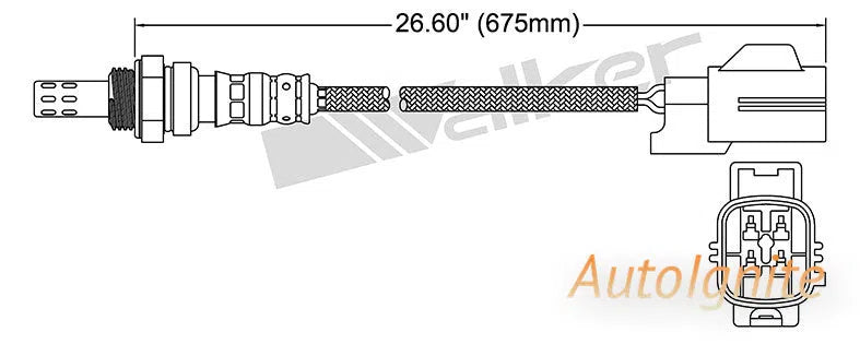 OXYGEN SENSOR | EGO-556-AUTOIGNITE-Autoignite NZ
