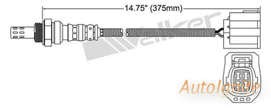 OXYGEN SENSOR | EGO-557-AUTOIGNITE-Autoignite NZ