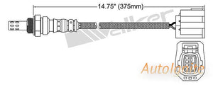 OXYGEN SENSOR | EGO-557-AUTOIGNITE-Autoignite NZ
