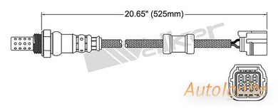OXYGEN SENSOR | EGO-559-AUTOIGNITE-Autoignite NZ