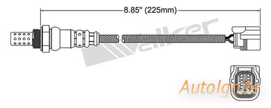 OXYGEN SENSOR | EGO-560-AUTOIGNITE-Autoignite NZ