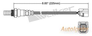 OXYGEN SENSOR | EGO-560-AUTOIGNITE-Autoignite NZ