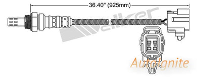OXYGEN SENSOR | EGO-564-AUTOIGNITE-Autoignite NZ