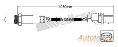 OXYGEN SENSOR | EGO-584-AUTOIGNITE-Autoignite NZ