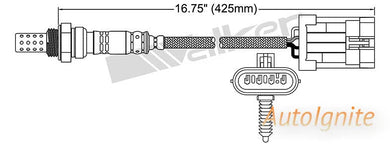 OXYGEN SENSOR | EGO-586-AUTOIGNITE-Autoignite NZ