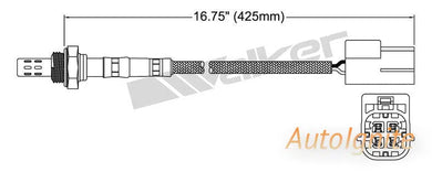 OXYGEN SENSOR | EGO-591-AUTOIGNITE-Autoignite NZ