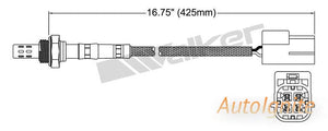 OXYGEN SENSOR | EGO-591-AUTOIGNITE-Autoignite NZ
