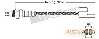 OXYGEN SENSOR | EGO-596-AUTOIGNITE-Autoignite NZ
