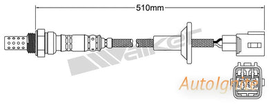 OXYGEN SENSOR | EGO-597-AUTOIGNITE-Autoignite NZ