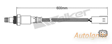 OXYGEN SENSOR | EGO-604-AUTOIGNITE-Autoignite NZ