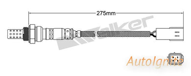 OXYGEN SENSOR | EGO-605-AUTOIGNITE-Autoignite NZ
