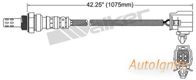 OXYGEN SENSOR | EGO-607-AUTOIGNITE-Autoignite NZ