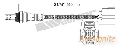 OXYGEN SENSOR | EGO-608-AUTOIGNITE-Autoignite NZ