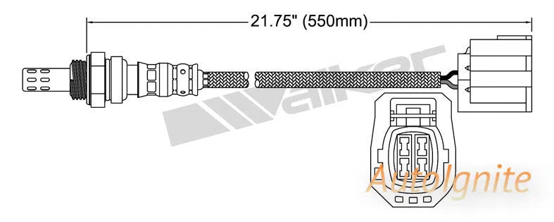 OXYGEN SENSOR | EGO-608-AUTOIGNITE-Autoignite NZ