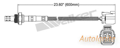 OXYGEN SENSOR | EGO-615-AUTOIGNITE-Autoignite NZ