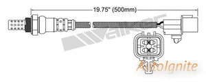 OXYGEN SENSOR | EGO-618-AUTOIGNITE-Autoignite NZ