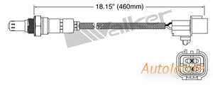 OXYGEN SENSOR | EGO-619