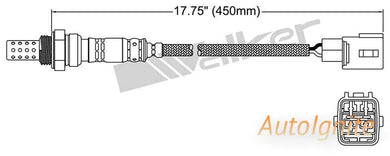 OXYGEN SENSOR | EGO-622-AUTOIGNITE-Autoignite NZ