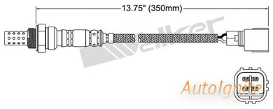 OXYGEN SENSOR | EGO-623-AUTOIGNITE-Autoignite NZ