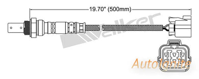 OXYGEN SENSOR | EGO-625-AUTOIGNITE-Autoignite NZ
