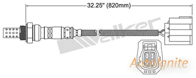 OXYGEN SENSOR | EGO-627-AUTOIGNITE-Autoignite NZ