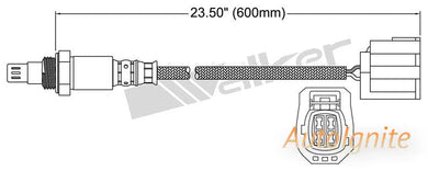 OXYGEN SENSOR | EGO-628-AUTOIGNITE-Autoignite NZ